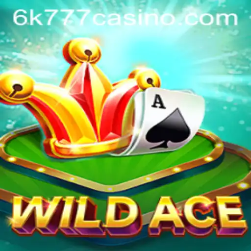 Discovering the Thrills of WildAce